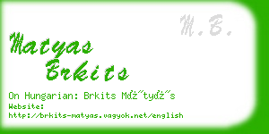 matyas brkits business card